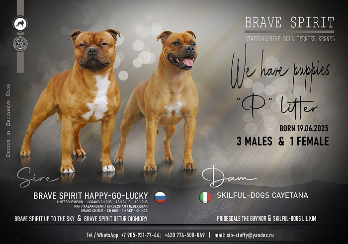 ����� ���������������� �����������